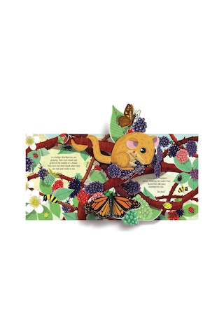 Pop-Up Nature - Anna Milbourne - Usborne