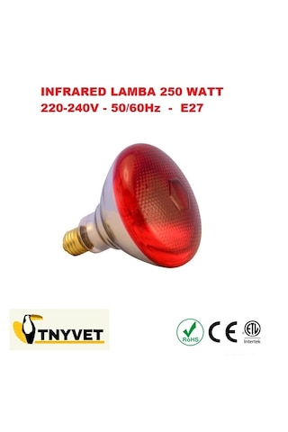 Isıtıcı Ampul Lamba Kırmızı 250 Watt / 2 Adet