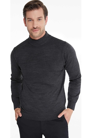 Classics Men Regular Fit Yarım Balıkçı Yaka Basic Triko Kazak-7124 Füme