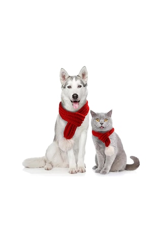 Kangvka Kedi Köpek Bayram Atkısı Kırmızı S Boyutu - Yumuşak Kumaş, Kolay Kullanıma Uygun, Tatil Dekorasyonu Çok Renkli