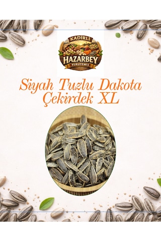 Kadirlihazarbey Tuzlu Dakota Çekirdek XL 500 G