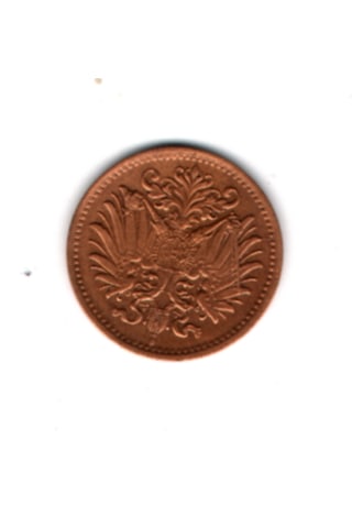 Avusturya Macaristan 1 Heller 1895 Mp2053