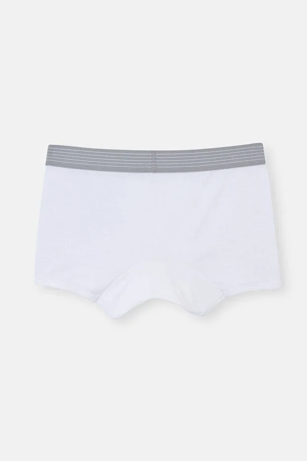 Dagi Erkek Beyaz Micro Modal Boxer- 4210