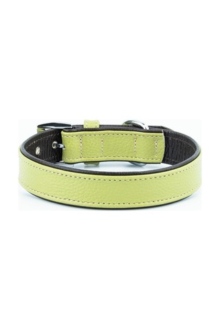 Canini Collar Hakiki Flotter Deri Köpek Tasması, Çift Katlı Deri, Ultra Dayanıklı Tasma Yeşil-kahverengi, Xl Çok Renkli