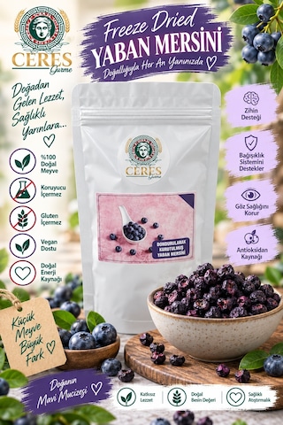 Dondurularak Kurutulmuş Yaban Mersini 20 G