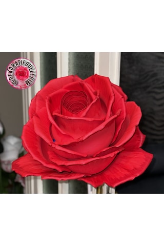 50cm 50cm Eva Dev Güller 20mm Giriş 18cm Glop Organizasyon Ürünü