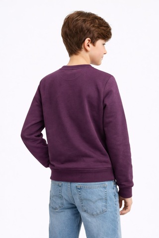 Baglan Erkek Çocuk Önü Arkası Baskılı Sweatshirt Bgl-st05231 Mürdüm