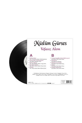 Müslüm Gürses - Vefasız Alem Plak