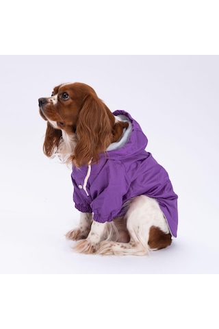 Mor Mont Köpek Mont Köpek Kıyafeti Köpek Yağmurluğu Küçük-büyük Irklar