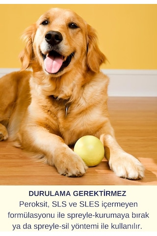 Kedi Koku Giderici Köpek Çiş Spreyi Kedi Kum Koku Giderici Kedi Kumu Koku Giderici Set