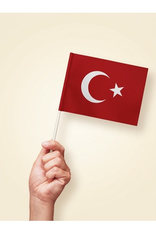 40'lı Set Çubuklu Kağıt Türk Bayrağı 12x20 Cm - 23 Nisan Kutlama Ve Süsleme Seti Tek Ebat