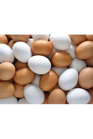 Plastik Sahte Tavuk Yumurtası Tavuk Folluk Yapay Yumurta 20 Adet