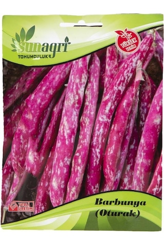 Barbunya Oturak Sebze Tohumu