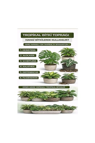 10 Litre - Tropikal Bitki Toprağı Monstera - Alocasia - Schefflera Için Sinek Yapmayan Formül 10 L