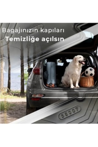 Ford Focus 3.5 Sedan 2015-2018 A+ Plus Bagaj Havuzu