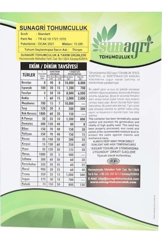 Sunagri Sakız Kabak Tohumu