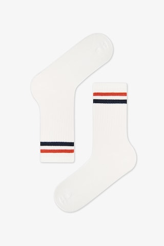 Penti Erkek Renkli Ocean Guard 2'li Soket