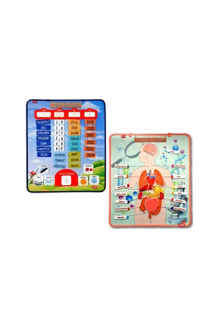 2 Set - 69 Parça Tox Iç Organlar ve Takvimi Öğreniyorum Keçe Cırt
