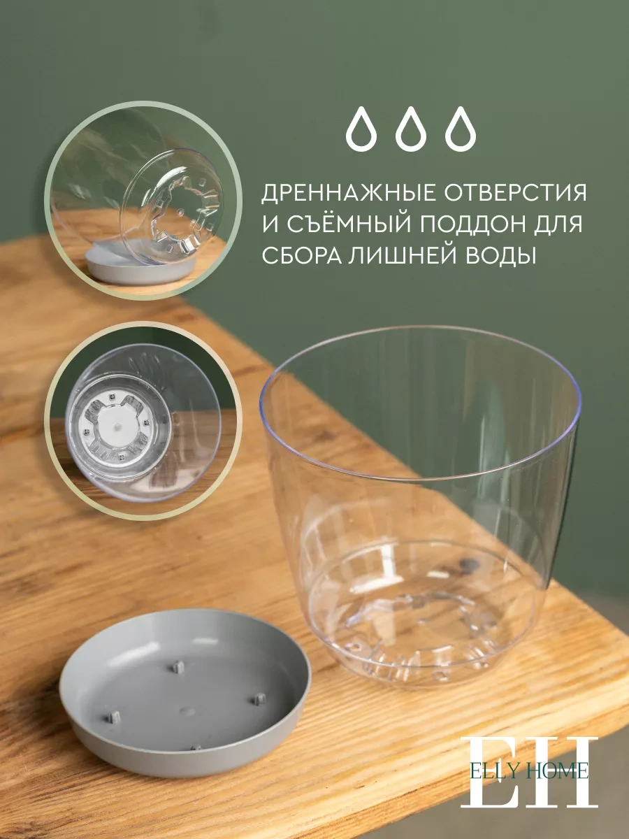 Elly Home Orkide İçin Büyük Şeffaf Saksı 171430256