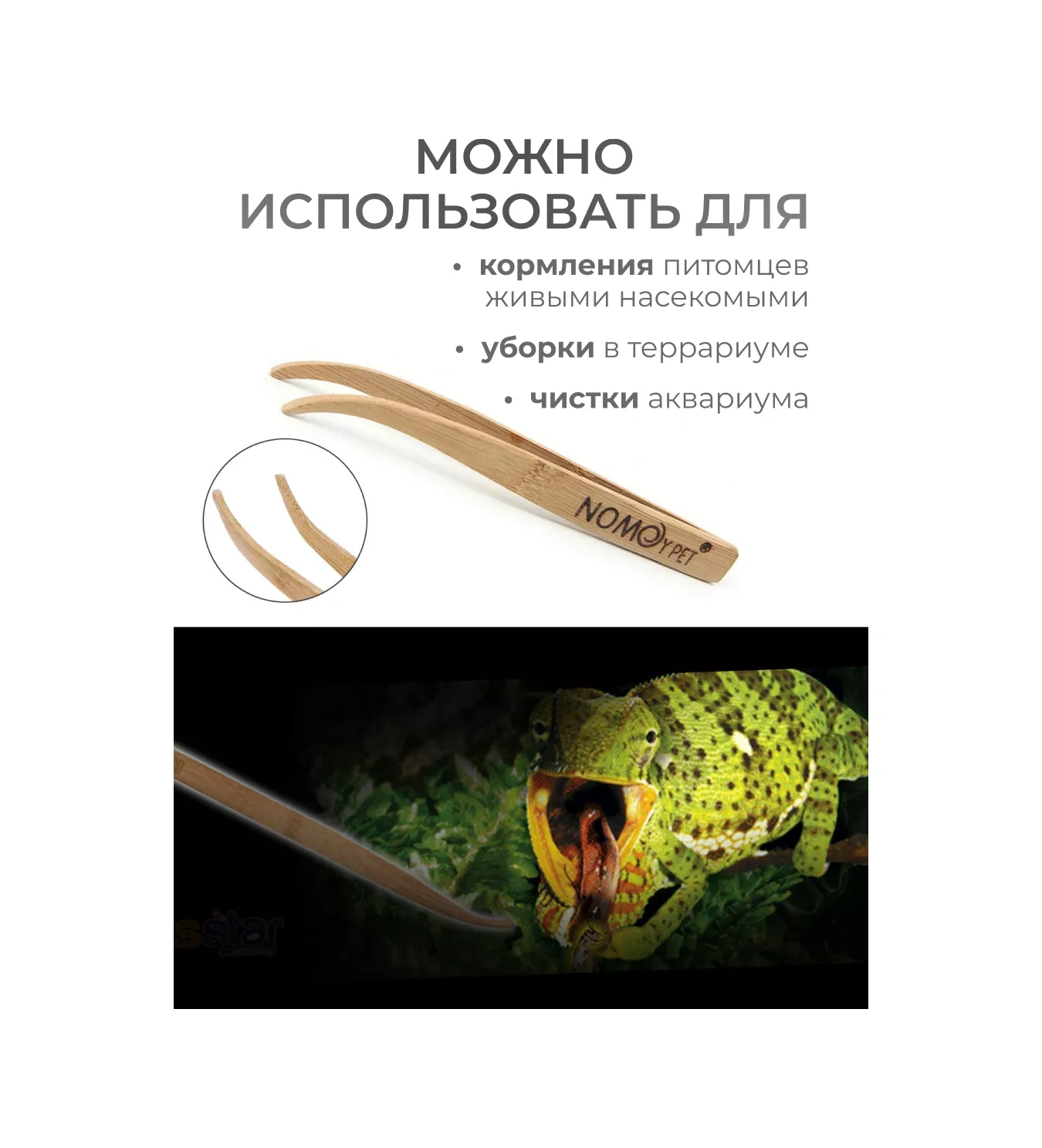 Petsroom Akvaryum Ve Teraryum İçin Sürüngen Besleme Penseti 51448436