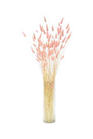 Kurutulmuş Lagurus (Pamuk Otu) Demeti Pembe