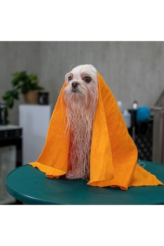 Show Tech Köpekler Ve Kediler İçin Premium Nem Ve Kir Emici Havlu 70x50 Cm