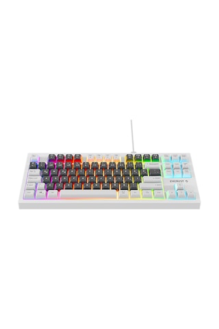 Appa Everest Kb-98 Sılent Tkl-mini Gri Mavi/beyaz Rainbow Q Membrane Klavye