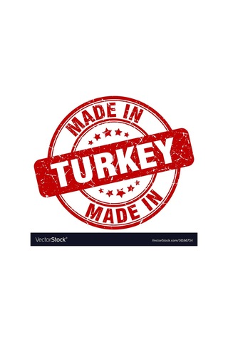 Divortex Motor İçi Temizleyici 300 ML