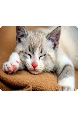 Samdoo Kedi Desenli Kaymazsız Mouse Pad - 180x220mm, 9 Farklı Kedi Resmi, İş Ve Oyun İçin, Yumuşak Dokuma, Pc/dizüstü/macbook Uyumlu Diğer