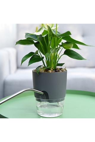 Şeffaf Plastik Çift Katmanlı Su Depolama Otomatik Su Emici Saksı, Boyut: A707 Kalibre 15.3cm Gri Şeffaf Havza