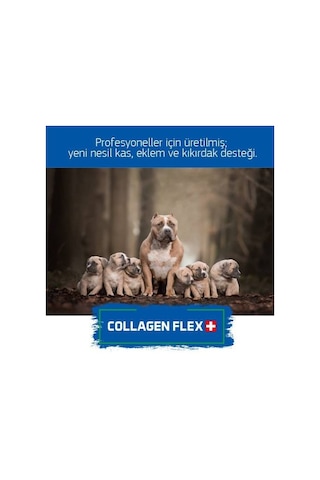 Collagen Flex Köpekler İçin Yeni Nesil Gelişim Ürünü Toz 10 x 400 G