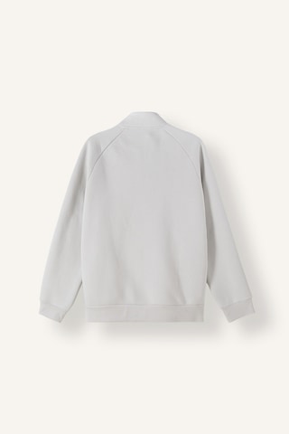 Defacto Boxy Fit Dik Yaka Baskılı İçi Yumuşak Tüylü Cepli Fermuarlı Sweatshirt Hırka E1367ax26augr368 Gri-gr368