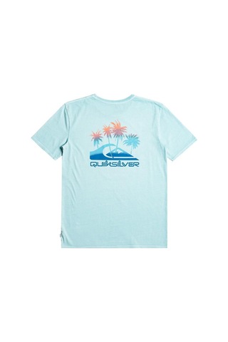 Quiksilver Eqyzt07252 Pastimeparadise M Tees Erkek Tişört 001
