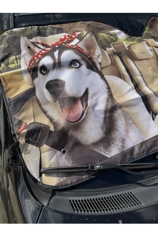 D.kovalev 140 X 70 Cm Ön Cam Güneşliği 249485092