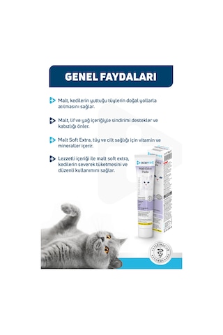 Onevet Malt Extra Paste Tüy Yumağı Önleyici Kedi Maltı 100 Gr