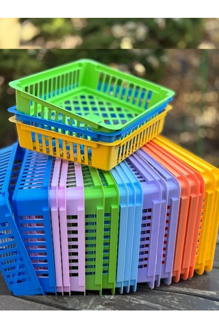 Botanikum Soğanlı Bitkiler İçin Sepet, Kelebek Yetiştirme 384328188