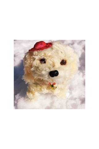 Pilleri Hediye Yürüyen Havlayan Sevimli Peluş Pilli Oyuncak Köpek 13 Cm. Krem Pembe Mavi Kahve Mor Krem
