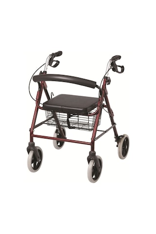Poylin P580 Ekonomik Rollatör