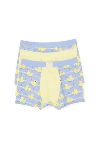 U.S. Polo Assn. Erkek Çocuk 3'lü Boxer Takım 50319389-VR035