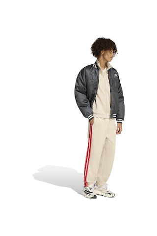 Adidas M Stadıum Pt Erkek Bej Eşofman Altı Kc0418