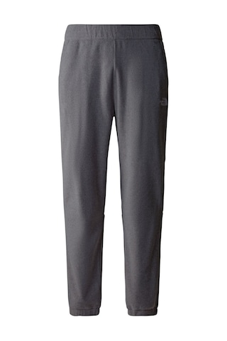 The North Face Erkek 100 Glacıer Polar Pantolon Nf0a8561dyy1 Gri