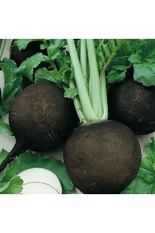 Siyah Turp Tohumu 10 GR 3000 Adet Kara Turp Tohumu