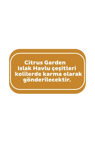 Sleepy Citrus Garden Islak Bebek Havlusu 24 x 90 (2160 Yaprak)