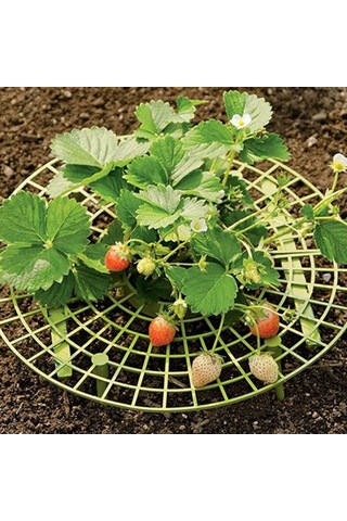 Yifomall "pratik Çilek Desteği - Topraktan Koruma, Kolay Kurulum, Dayanıklı Pe Malzeme"