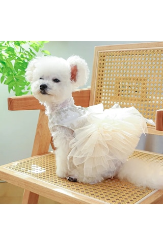 Best Golden Monkey Köpek Elbisesi "nazik" 423646011