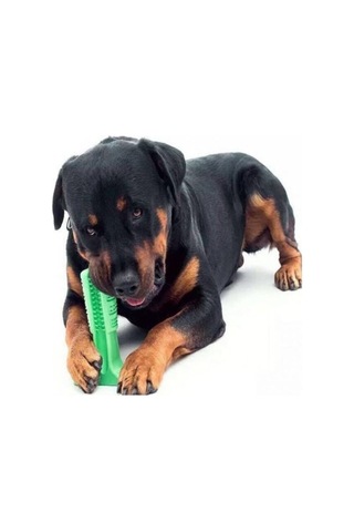 Diş Fırçası 15 CM Büyük Boy Isırma Aparatı Köpek Oyuncağı Çok Renkli