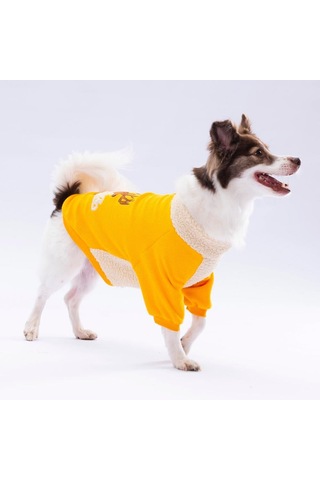 Pawstar Sarı Alaska Esnek, Küçük Irk Triko Köpek Trikosu