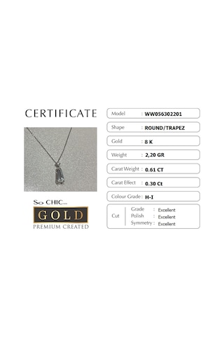Beyaz Altın Sertifikalı Premium Created Taşlı 42 Cm Trapez Kesim Kolye