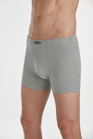 X Man 710 Gri Erkek Boxer