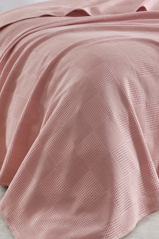 Battal Boy %100 Pamuk Pike Örtü 230x240cm Karo Desenli Pudra Weave Serisi Pudra